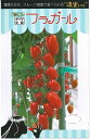 野菜種子　ミニトマトたね　『トキタ種苗』　フラガール 　8粒袋詰　【送料込み】　濃密トマト　赤楕円