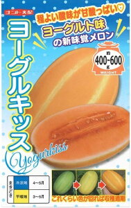 ؎q u[OLbXv@6^30^50^100iigcj@y݁z@ ߂ Z  E ȉ~ [Og