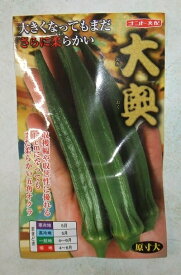 野菜種子 五角オクラ「大奥」　6ml／500粒／2,000粒／1万粒（ナント種苗）【送料込み】 おおおく オオオク 陸蓮根 秋葵 おくら アメリカネリ ビッグサイズ 多収