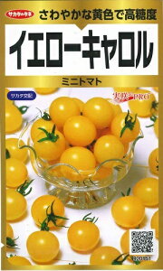 ؎q Ȃ~jg}guCG[Lvybg13^ybg40iTJ^̃^lj y݁z ~jg}g x ɑ ƒ؉