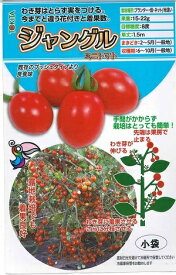 野菜種子　『トキタ種苗』　ミニトマトたね　ジャングルミニトマト　8粒袋詰　【送料込み】