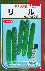 ؎q ~jLEuv@18^50^100^200^350iTJ^̃^lj@y݁z ӉZ イ T_ Ђ 