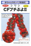 【人気品種】野菜種子 超薄皮ミニトマト「CFプチぷよ2」 7粒／50粒／100粒／1,000粒（渡辺採種場） 【送…