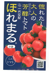 ؎q F~jg}guق܂v@13inӔ_jy݁zTNTN VH ƒ؉ N͔|