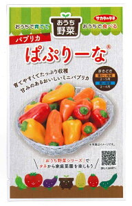 ؎q pvJuςՂ[ȁv@12iTJ^̃^lj@y݁zJ[s[} ~jpvJ pv[i