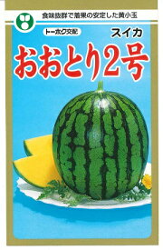 野菜種子 黄肉小玉スイカ「おおとり2号」　7粒／50粒／100粒／200粒（トーホク）【送料込み】 オオトリ2号 黄小玉西瓜 こだますいか