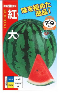 ؎q ʃXCJugv@7^50^200iigcj@y݁z RE_C ʐZ ܂