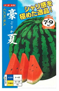 ؎q ʃXCJuāv@7^50^200iigcj@y݁z SEJ ʐZ ܂