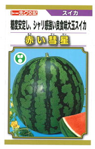؎q ʃXCJuԂav@7^50^200ig[zNcj@y݁zԂ  ʐZ ܂