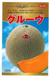 ��؎�q �ԓ��l�b�g�������u�O���[���v�@8���^50���^100���i�_�c���j�@�y�������݁z