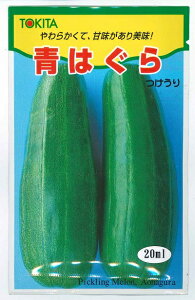 ؎q cPEu͂v@3ml^20mligL^cj@y݁zЂZ  Ӑ Ђ