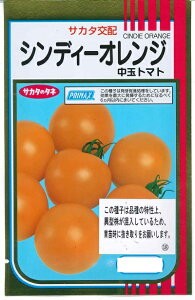 ؎q ܂ܒʃg}guVfB[IWv@13^100^500^1,000iTJ^̃^lj@y݁z Ƃ܂ ɑ ƒ؉ 