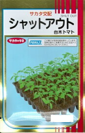 野菜種子 台木用トマト「シャットアウト」100粒／500粒／1,000粒（サカタのタネ）【送料込み】 しゃっとあうと だいぎ ダイギ 耐病性 耐虫性