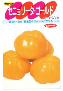 ؎q t[cpvJuZj[^S[hv@10l^30l^50l^100liTJ^̃^ljy݁z