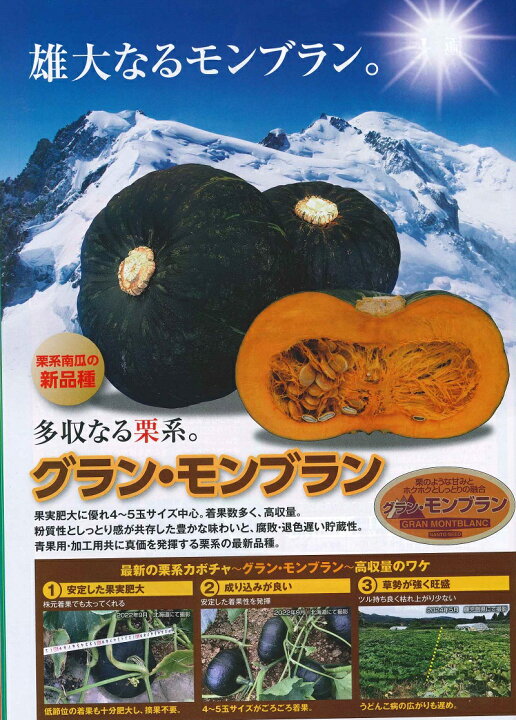 楽天市場】野菜種子 カボチャ「グラン・モンブラン」7粒／30粒／100粒 