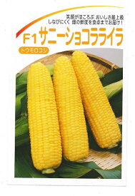 【人気品種】野菜種 トウモロコシ「サニーショコラライラ」 100粒／200粒／500粒／2,000粒（ヴィルモランみかど）【送料込み】 とうもろこし スイートコーン 在ほ性 店もち 中早生黄色種