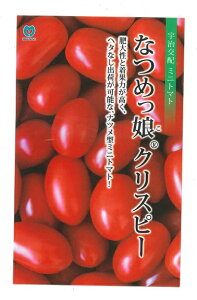 ؎q ~jg}guȂ߂NXs[v10^200^1,000iێjy݁z݂ɂƂ܂Ɓ^Ȃ߂NXs[^MTX-106