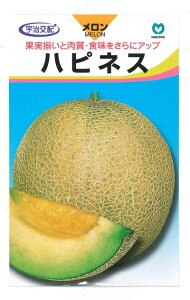 y݌Ɍz؎q unslXv 5^30^50^100iFz ێjy݁z߂^