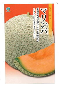 ylCz؎q u}ov 5^30^50^100iFz ێjy݁z߂^^ԓ