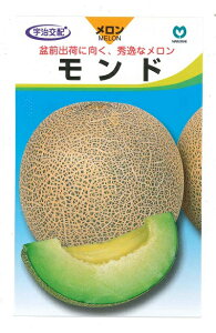 ylCiz؎q lbguhv5^30^50^100iێjy݁z ǂ߂ [Z }NE Gi  ǂ񂱕aE銄aR MMX-012