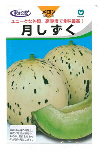 ؎q uv5^30^50^100iFz ێjy݁z ߂ m[lbg 