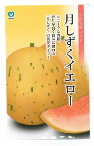 ؎q uCG[v5^30^50^100iFz ێjy݁z ߂^^m[lbg