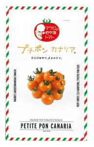 ؎q }E̒nCg}guv`| JiAv8iTiebNV[hjy݁z~jg}g v`|JiA