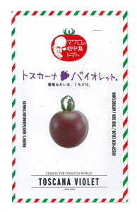 ؎q }E̒nCg}gugXJ[i oCIbgv 8iTiebNV[hjy݁z~jg}g^gXJ[ioCIbg