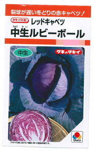 ؎q bhLxcur[{[v0.6ml^2,000i^LCcjy݁z`EZCr[{[ Ԋ× ׂ ϊ