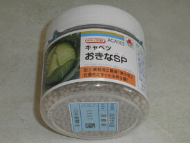 野菜種子 キャベツ「おきなSP」　 ペレット5,000粒（タキイ種苗）　【送料込み】 甘藍／きゃべつ