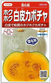 野菜種子 白皮カボチャ「雪化粧」6.5ml（約7粒）／20粒／50粒／100粒／500粒（サカタのタネ）【送料込み】 ゆきげしょう ユキゲショウ 南瓜 しろかわかぼちゃ 貯蔵性 粉質