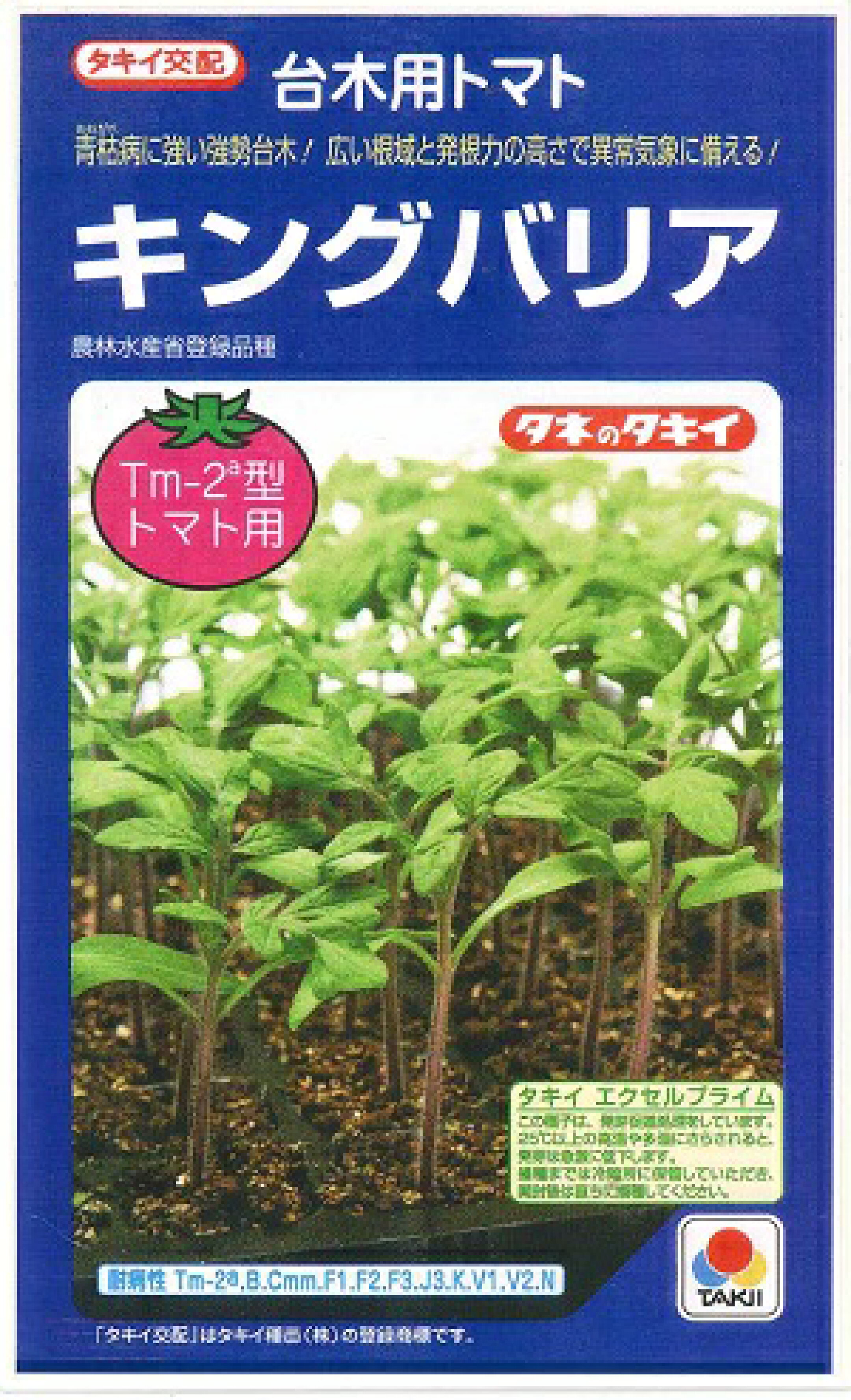 青枯病に強い強勢台木！