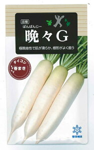 y݌Ɍz؎q 卪uӁXGi΂΂񂶁[jv 800icjy݁z卪^^_CR