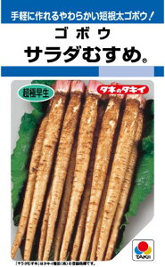 野菜種子 短根太ゴボウ「サラダむすめ」 4.5ml/11ml/1dl(タキイ種苗) 【送料込み】サラダ娘 さらだむすめ サラダムスメ てがる 太牛蒡 ごぼう 超極早生 キンピラ きんぴら