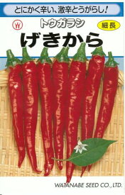 楽天市場 青 唐辛子 種の通販