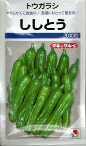 ؎q ɑgEKVuƂv135^500^1,000^2,000i^LCcj y݁z VVgE hq Ƃ炵 ͔| 