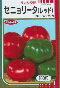 ؎q t[cpvJuZj[^ibhjv@10^30^50^100iTJ^̃^ljy݁z@s[} pvJ  ƒ؉ _ѐYȓo^iii햼F|01j