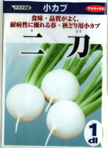 ؎q Juu񓁁v 3mli800j^20ml^1dliTJ^̃^lj@y݁z^ԁ^Ju