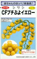 野菜種子 超薄皮ミニトマト「CFプチぷよイエロー」7粒／100粒／1,000粒（渡辺採種場） 【送料込み】 しー…