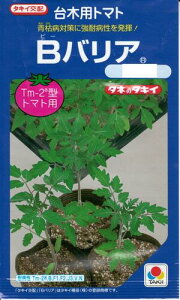 ؎q g}g؁uBoAv100^500^1,000i^LCc)j y݁z