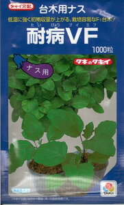 ؎q ؗpiXuϕaVFv100 ^ 500l ^ 1,000i^LCcj y݁z т傤uCGt ֎q Ȃ _CM  ϕa 