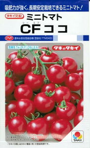 ؎q ~jg}guCFRRv16^1,000i^LCcjy݁z@_ѐYȓo^iii햼FTTM043j