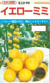 野菜種子 『ミニトマトタネ』 カネコ交配 (カネコ種苗) イエローミミ 11粒詰／50粒詰／100粒詰／250粒詰／1000粒詰　 【送料込み】