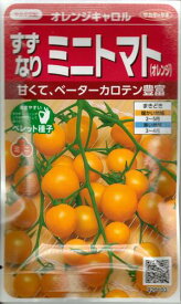 野菜種子 すずなりミニトマト「オレンジキャロル」13粒／40粒（サカタのタネ）【送料込み】 オレンジミニトマト 極高糖度 家庭菜園向き βカロテン 極早生