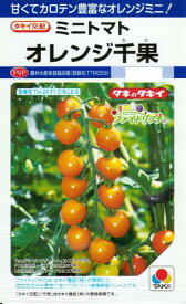 野菜種子 ミニトマト「オレンジ千果」16粒／1,000粒（タキイ種苗） 【送料込み】 オレンジチカ おれんじちか 葉かび・斑点病耐病性 農林水産省登録品種（品種名：TTM059）