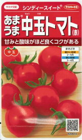 野菜種子 『中玉トマトタネ』 サカタ交配　(サカタのタネ)　シンディースイート　21粒詰／100粒詰／500粒詰／1000粒詰　【送料込み／