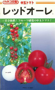 ؎q ʃg}gubhI[v@13^100^200^500^1,000^ybg600iJlRcj@y݁zt[eB[ x _x ϕa ƒ؉