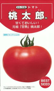 ؎q ʃg}guYv 21^35^100^500^1,000i^LCcjy݁z ^E 낤 x ɑ ϕa ƒ؉