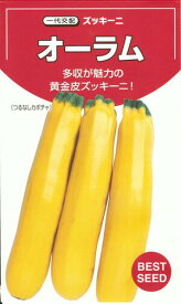 野菜種子 黄金皮ズッキーニ「オーラム」16粒／50粒／100粒／500粒（タキイ種苗）【送料込み】 瓜 うり ウリ 省スペース 家庭菜園 多収 耐病性