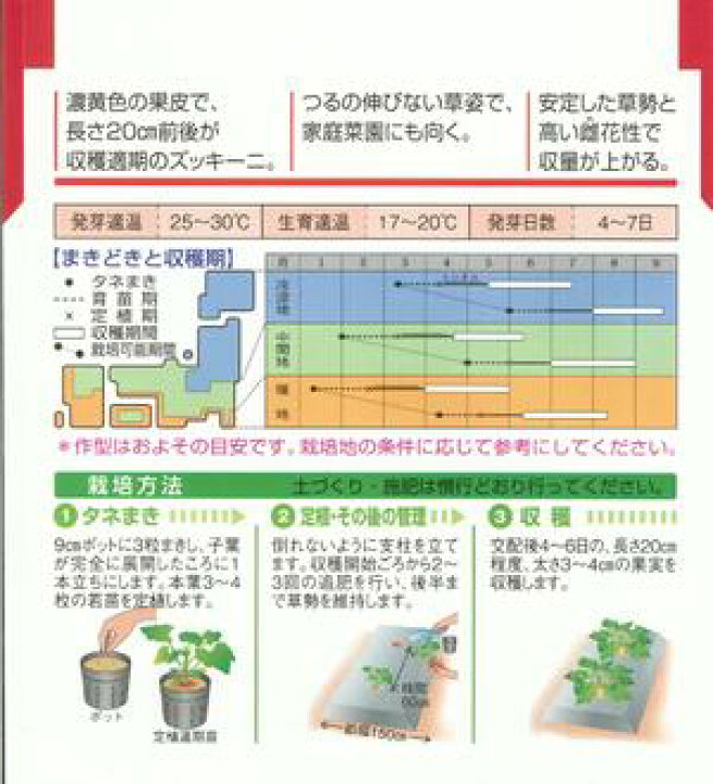 野菜の種 種子 16粒 オーラム ズッキーニ タキイ種苗 メール便発送 即納 オーラム 野菜の種 種子 16粒 オーラム ズッキーニ タキイ種苗 メール便発送 即納 オーラム